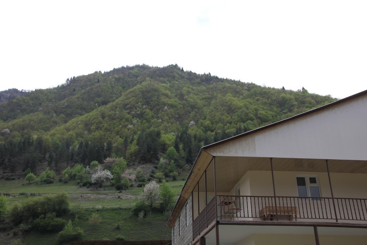Guesthouse Qarim Местія Екстер'єр фото